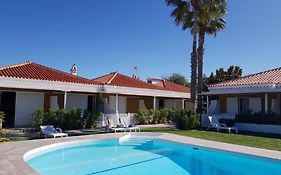 Nectarinas Holiday Maspalomas